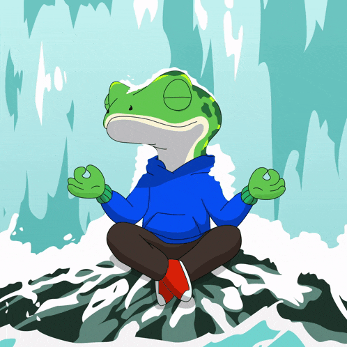 a frog in a blue hoodie sits on a rock with his eyes closed