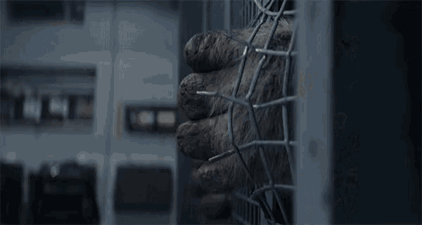 a close up of a person 's hand sticking out of a cage .