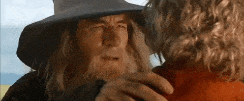 Thelordoftherings Gandalf GIF - Thelordoftherings Gandalf Lotr GIFs