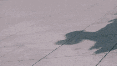 a person is walking on a sidewalk with a shadow on the ground