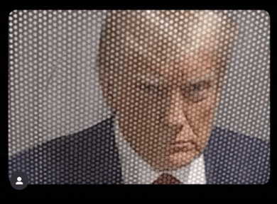 a close up of donald trump behind a grid