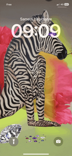 a phone screen with a picture of a zebra on it