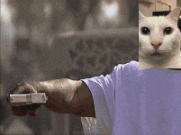 a man in a purple shirt is holding a gun with a picture of a cat on his face