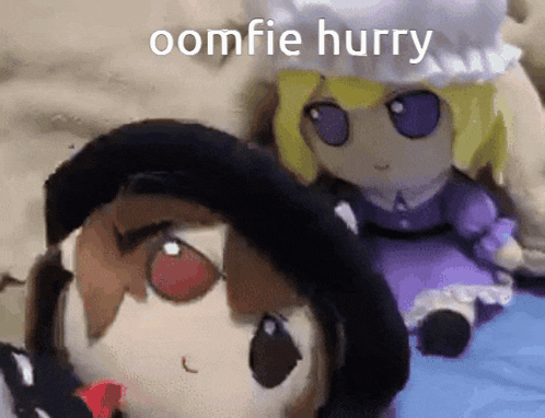 two stuffed dolls are sitting next to each other with a caption that says oomfie hurry .