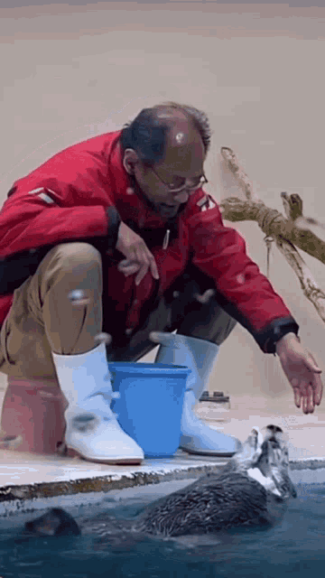 a man in a red jacket is feeding a seal in a pool