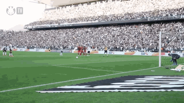 a soccer game is being played in front of a large crowd