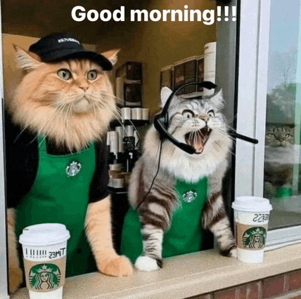 two cats wearing starbucks aprons and headsets standing in front of a window