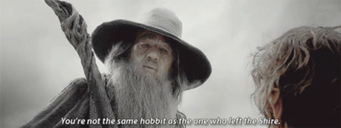 Youre Not The Same The One Who Left GIF - Youre Not The Same The One Who Left Gandalf GIFs