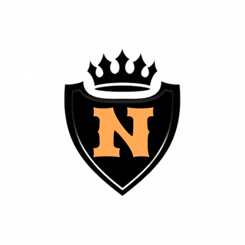 a black shield with the letter n and a crown on top of it