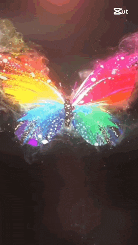 a rainbow colored butterfly is flying in the dark .