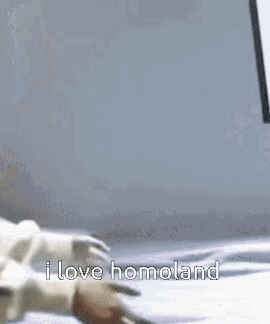 Homoland I Love Homoland GIF