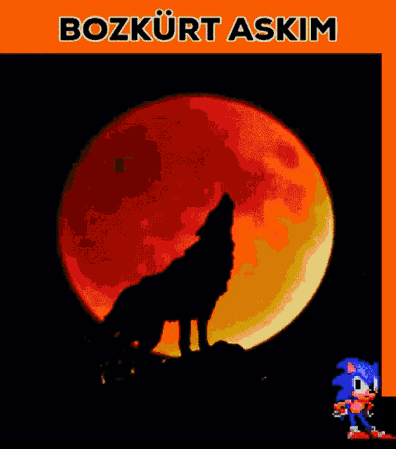 a cartoon of a wolf howling at a full moon with bozkurt askim written above it
