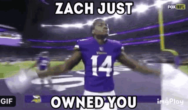 a football player with the number 14 on his jersey is standing on a field .