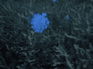 a person is holding a piece of blue smoke in their hand in the grass .
