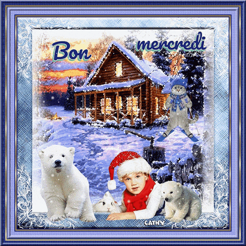 a picture of a boy in a santa hat with polar bears and the words bon mercredi