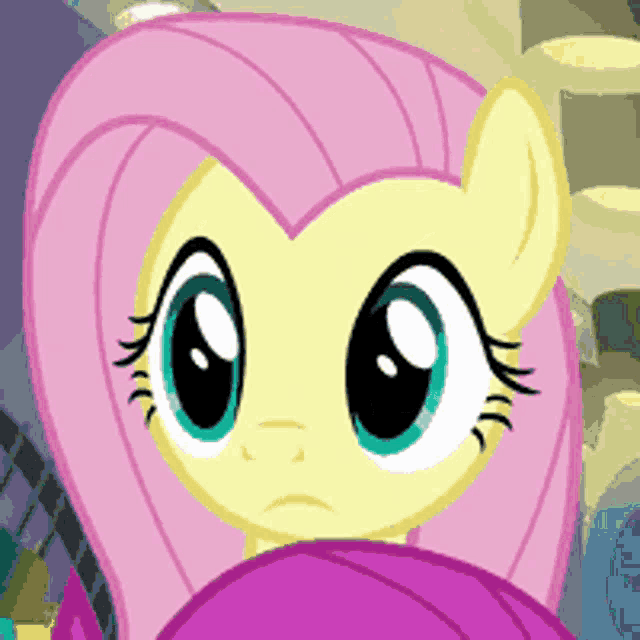a close up of a pony with big eyes