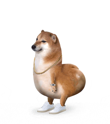 a dog wearing a chain around its neck and white sneakers