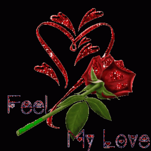 Love Feel My Love GIF - Love Feel My Love Rose GIFs