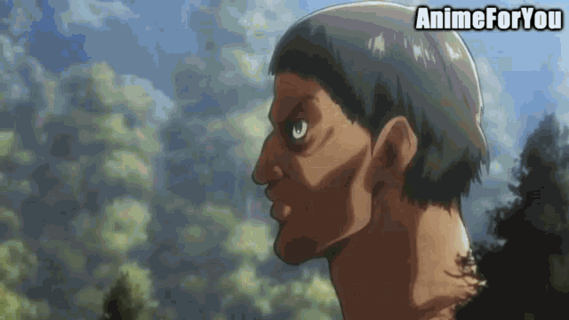 a close up of a man 's face with the words animeforyou written below it