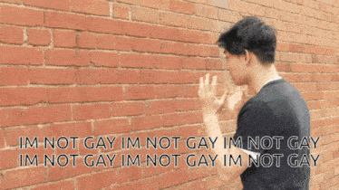 a man standing in front of a brick wall with the words " im not gay im not gay im not gay im not gay " below him