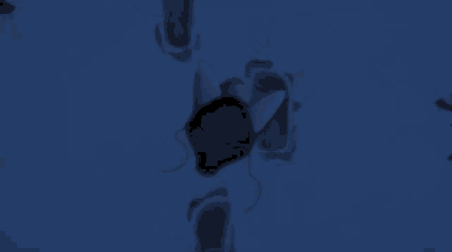 a black object with white ears is floating in the dark