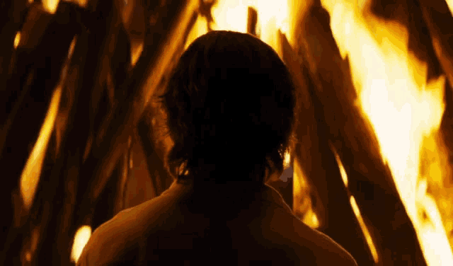 a man is standing in front of a fire with his back to the camera