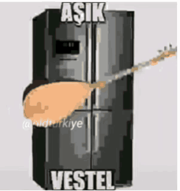 a refrigerator with a guitar sticking out of it and the words vestel on it .
