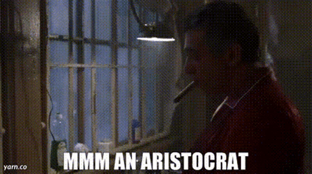 a man is smoking a cigarette in front of a window and the words mmmm an aristocrat are written below him .