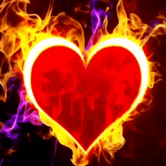 a red heart is surrounded by flames of different colors