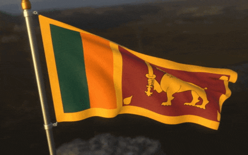 Srilanka Sri Lanka GIF - Srilanka Sri Lanka GIFs
