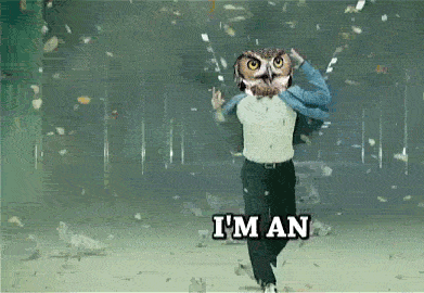 a man with an owl on his head and the words i 'm an on the bottom