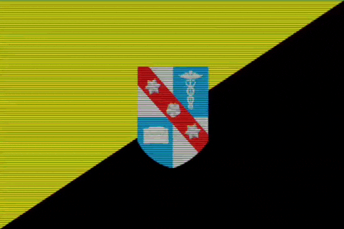 a yellow and black striped background with a shield on it