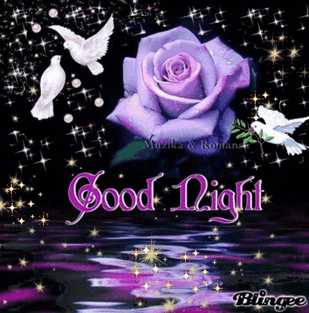 a purple rose is surrounded by birds and the words good night