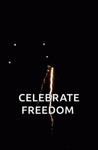 Celebrate Freedom Fireworks GIF - Celebrate Freedom Fireworks 4th Of July GIFs