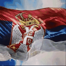 a red white and blue flag with the letter g on the bottom