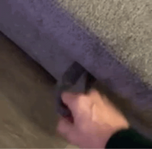 Hiding Couch GIF - Hiding Couch Surprise GIFs