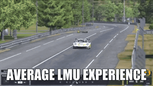 a screenshot of a video game with the words average lmu experience at the top