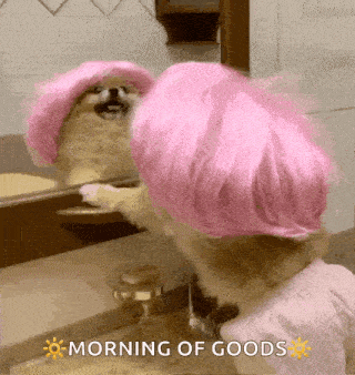 a dog is wearing a pink wig and looking at itself in the mirror .