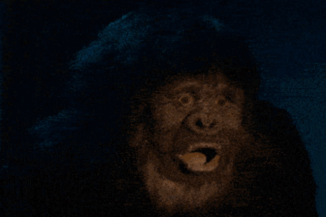 Omg Monkey GIF - Omg Monkey Amaze GIFs