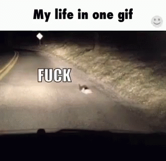 Fuck Life GIF - Fuck Life Rabbits GIFs