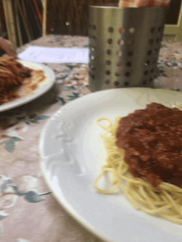 a close up of a plate of spaghetti with sauce