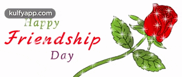 a happy friendship day greeting card with a red rose and green leaves