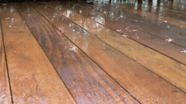 a wooden deck with a reflection of trees on it
