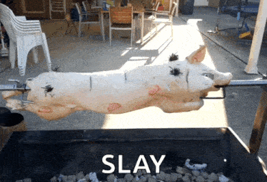 Khod Catering GIF - Khod Catering Lechon GIFs