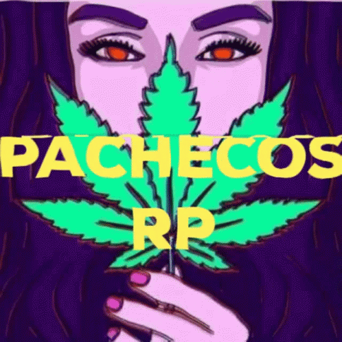 Pachecos Rp Marijuana GIF - Pachecos Rp Marijuana Red Eye GIFs