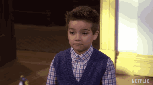 a young boy is wearing a plaid shirt and a sweater vest with a netflix logo on the bottom
