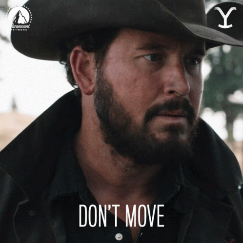 Dont Move Stay Right There GIF - Dont Move Stay Right There Dont Go GIFs