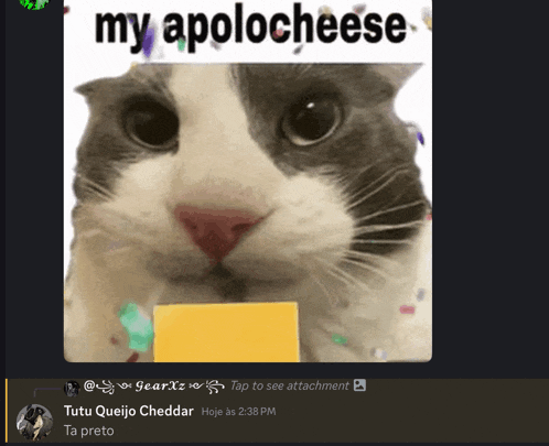 a picture of a cat holding a piece of cheese with the caption " my aplocheese "