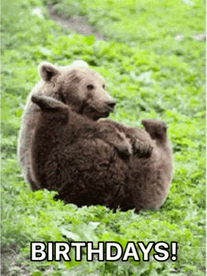 a couple of bears laying in the grass with the words birthdays in the corner .