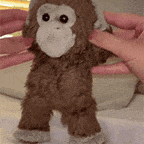 a stuffed monkey is being held by a person .